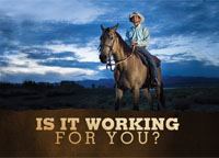 Is it working for you Is It working for you